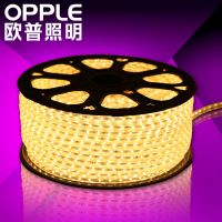 欧普灯带 【每米功率】4.5瓦 3528款
