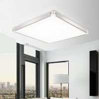 欧普官方商城 客厅灯具 LED吸顶灯灯饰照明 现代简约 大小款可选 龙吟
