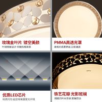 欧普照明 LED卧室吸顶灯 现代简约调光调色时尚浪漫房间灯饰 花漫月