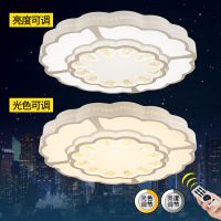 欧普官方商城 长方形吸顶灯水晶客厅灯  现代简约大气灯饰灯具 金粉世家