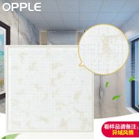 OPPLE  集成吊顶扣板 厨房卫生间阳台  5色可选 30*30cm  防油污防刮花 铝扣板单片（不含配件）