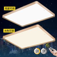 欧普官方商城 长方形LED调光客厅吸顶灯具 金色大气现代简约灯饰