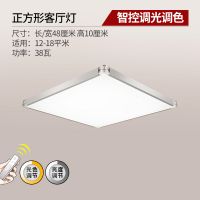 欧普官方商城 客厅灯具 LED吸顶灯灯饰照明 现代简约 大小款可选 龙吟
